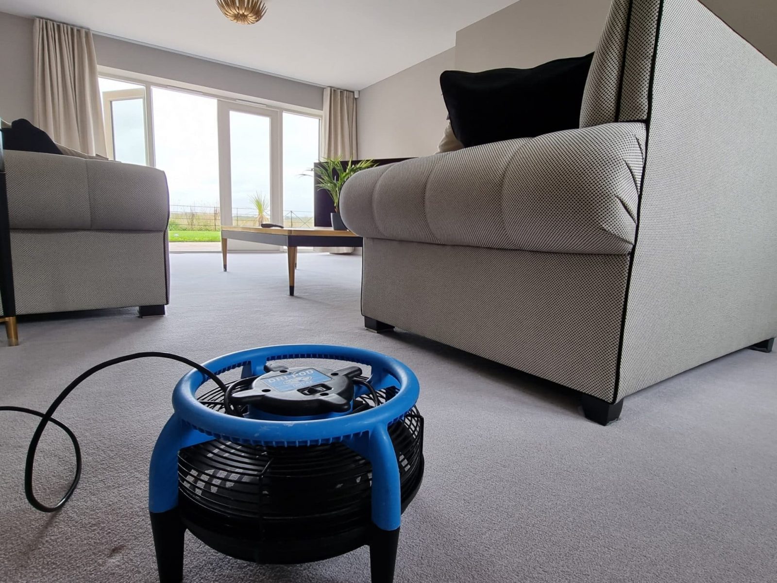 carpet driers speed drying