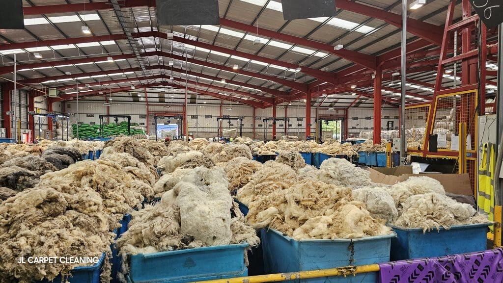 Wool fleece grading