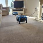 Professional air movers drying a wool carpet after cleaning