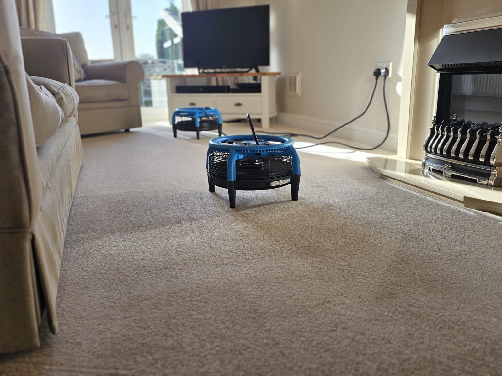 20251117_114716 Professional air movers drying a wool carpet after cleaning