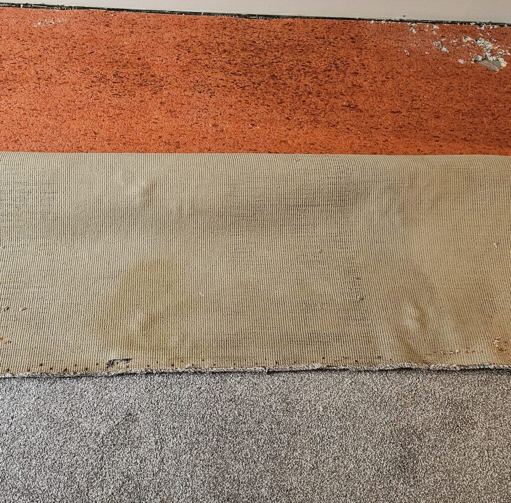 Pet urine damage to carpet backing and underlay requiring specialist treatment