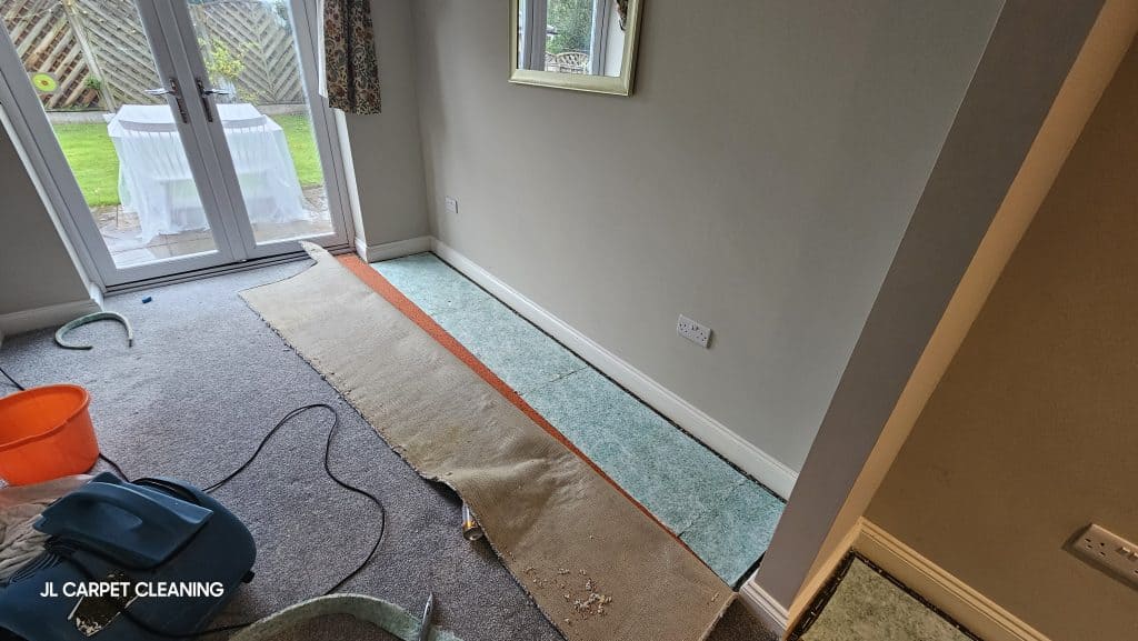 New underlay installed after removal of urine-contaminated materials